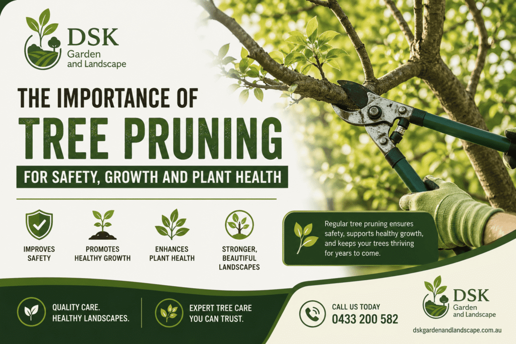 The Importance Of Tree Pruning For Safety, Growth And Plant Health
