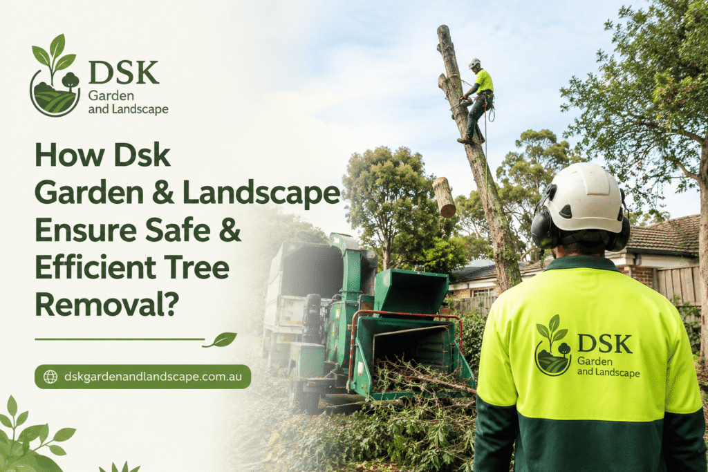 How Dsk Garden & Landscape Ensure Safe & Efficient Tree Removal?