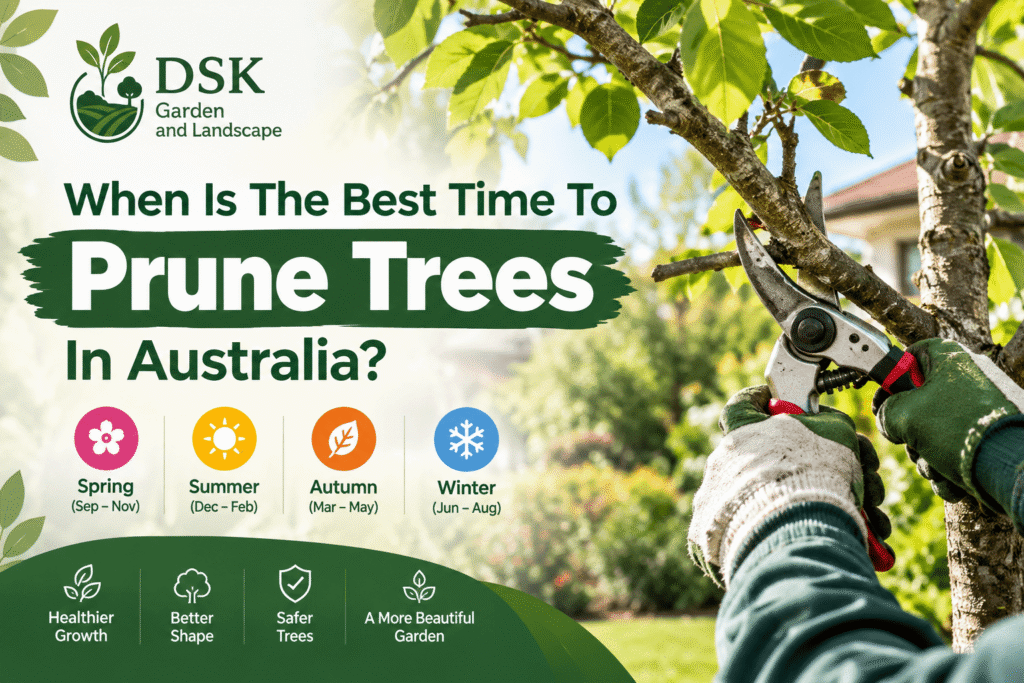 When Is The Best Time To Prune Trees In Australia?