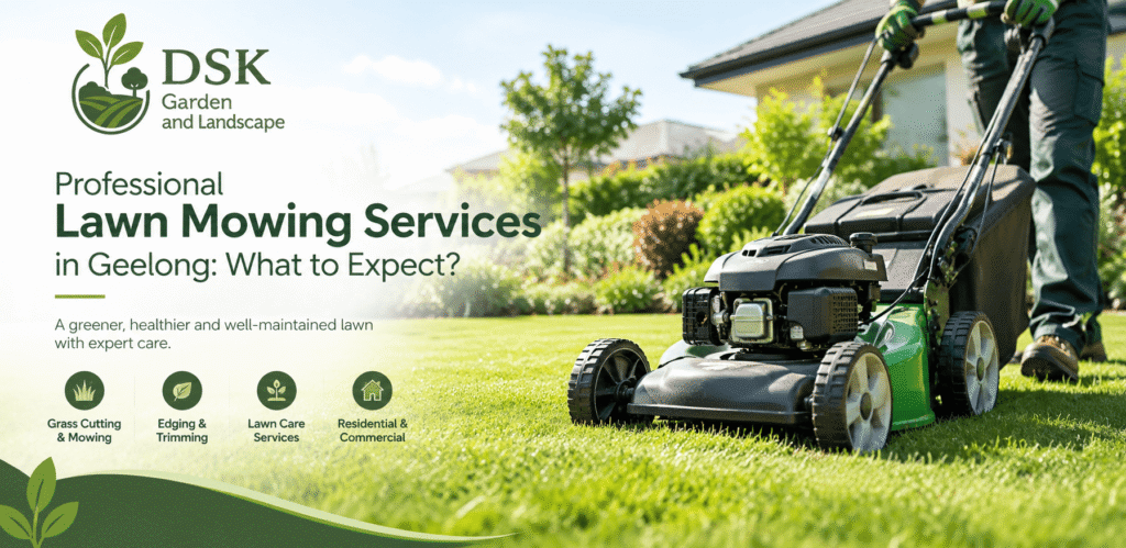 Professional Lawn Mowing Services In Geelong: What To Expect?